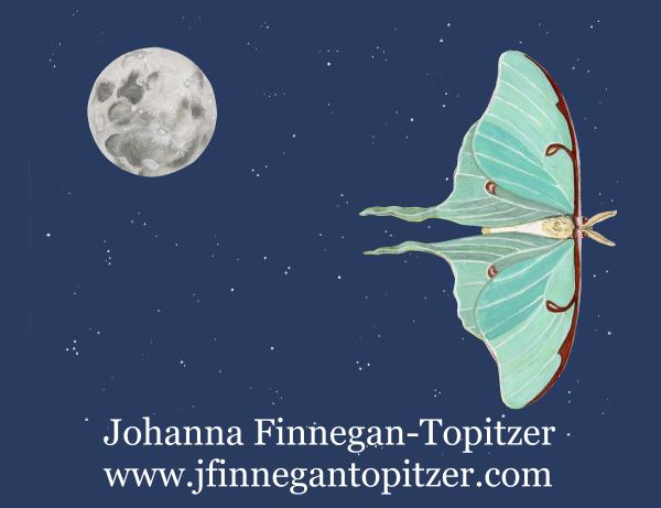 Johanna Finnegan-Topitzer
