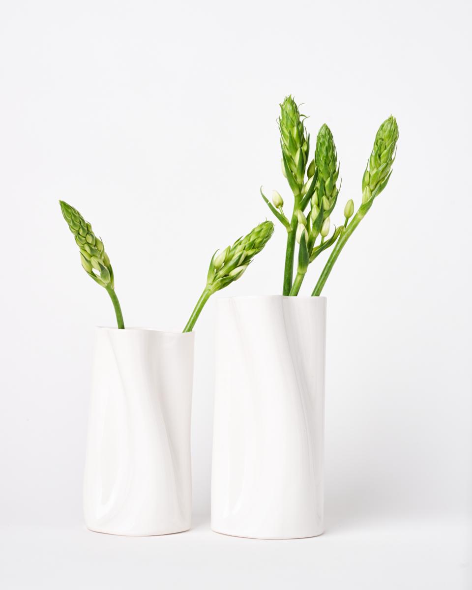 Flutter Vase picture