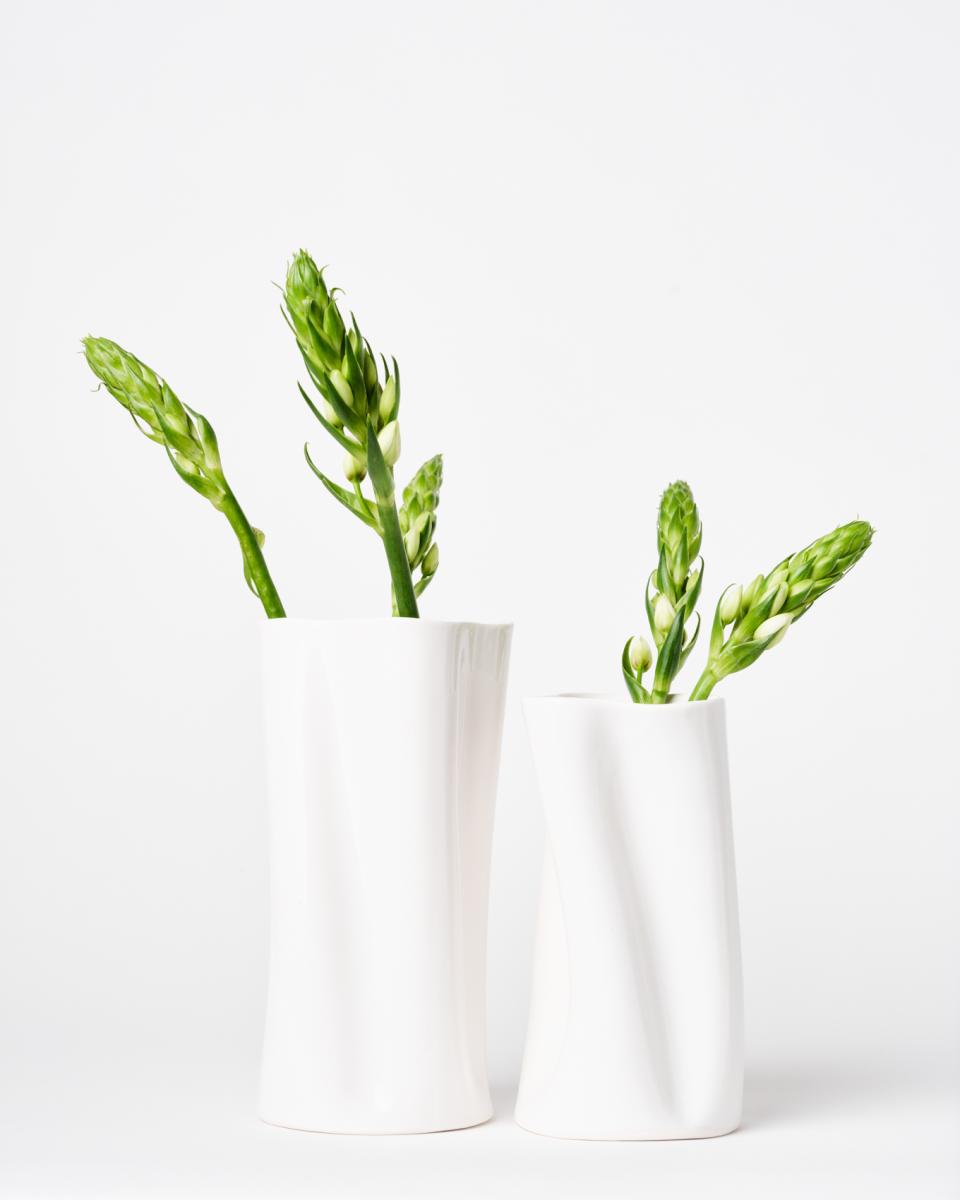 Flutter Vase picture