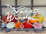 The Velvet Window