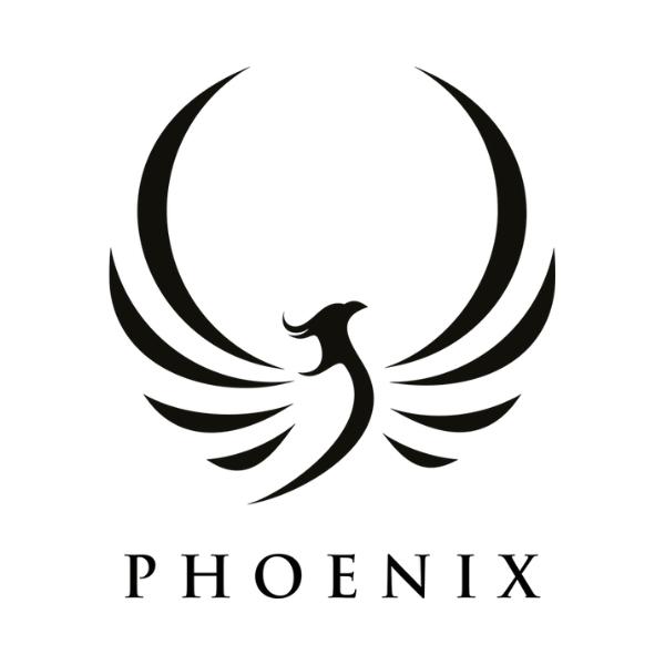 Phoenix Youth and Family Service