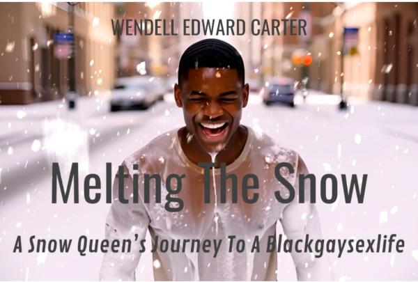 MELTING THE SNOW A NOVEL LLC