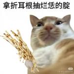 狂炫三斤折耳根