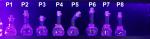 Pink UV Reactive Potion Bottles