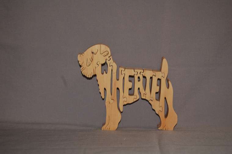 Wheaten Terrier picture