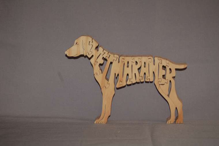 Weimaraner picture