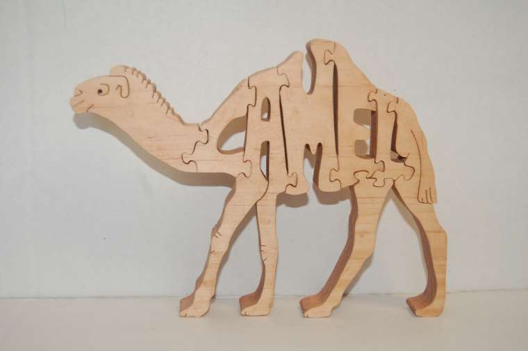 Camel picture