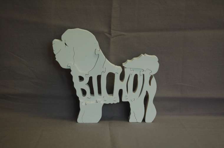 Bichon picture