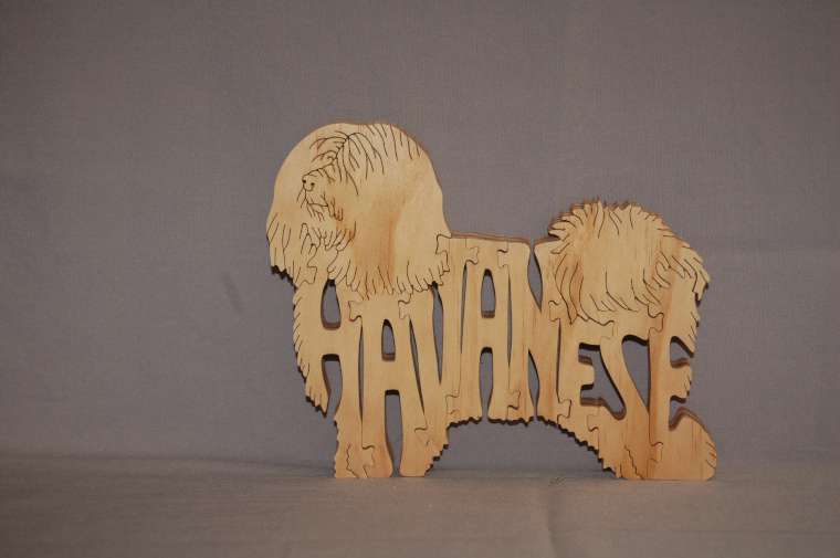 Havanese