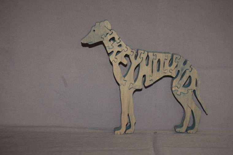 Greyhound picture