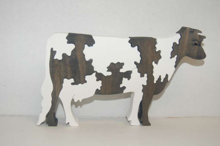 Holstein cow