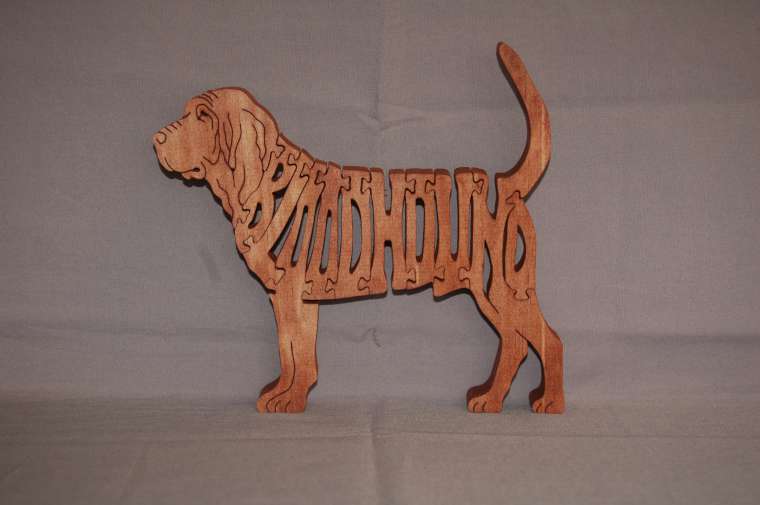 Bloodhound picture