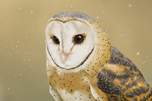 Chance Encounter Print
