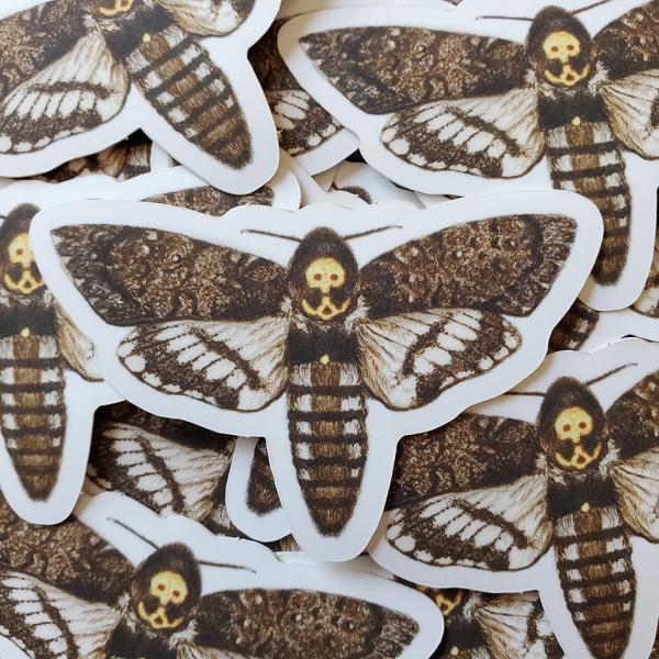 Death's Head Moth Sticker