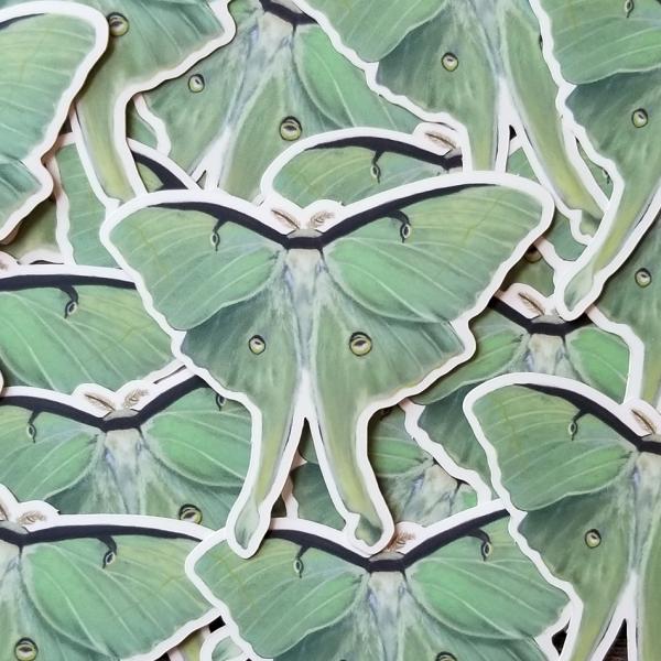 Luna Moth II Sticker