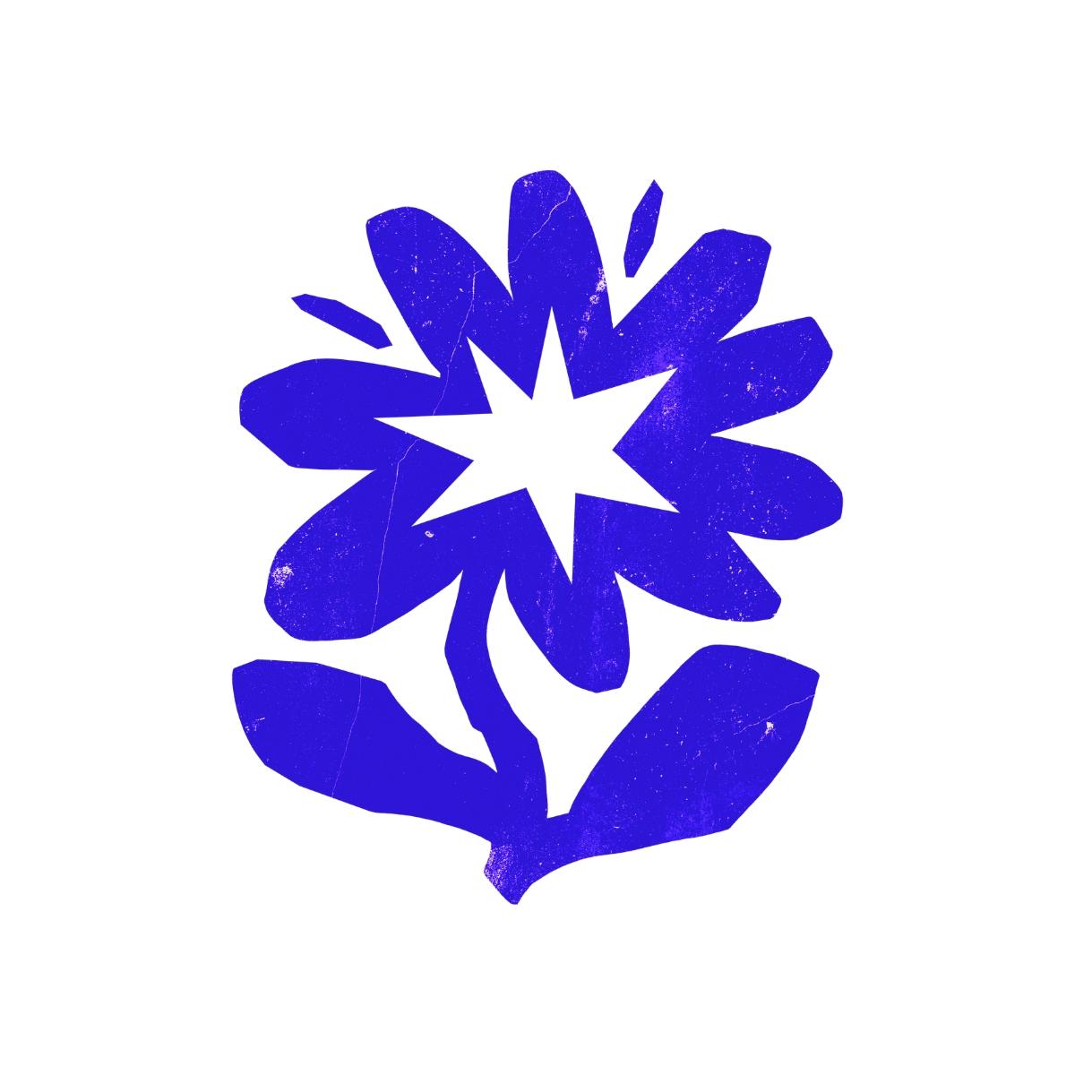  User Profile