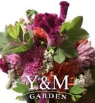 Y & M Garden