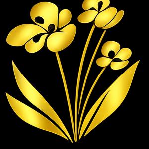 Kapel Wellness LLC logo