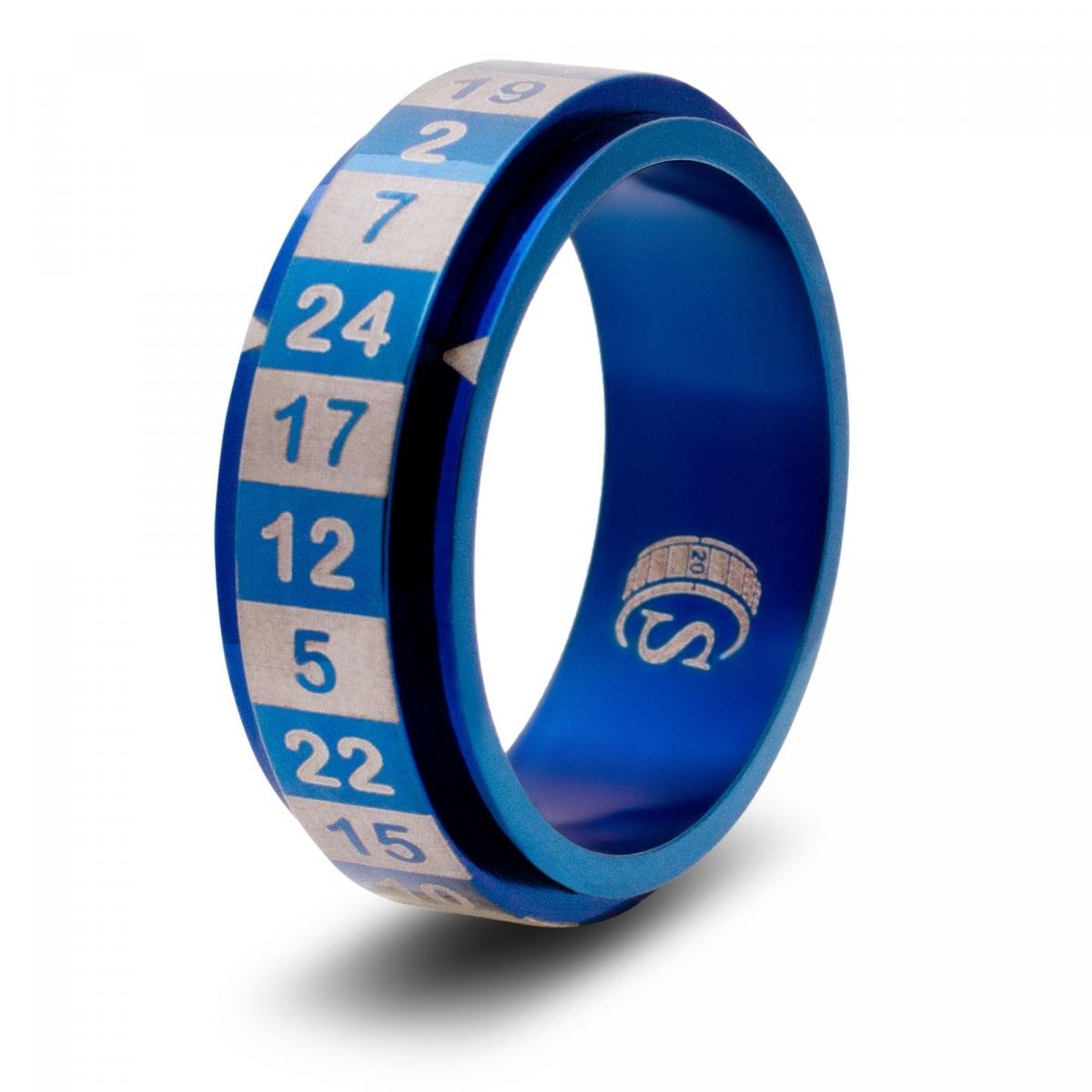 D24 Dice Ring (24-sided) picture