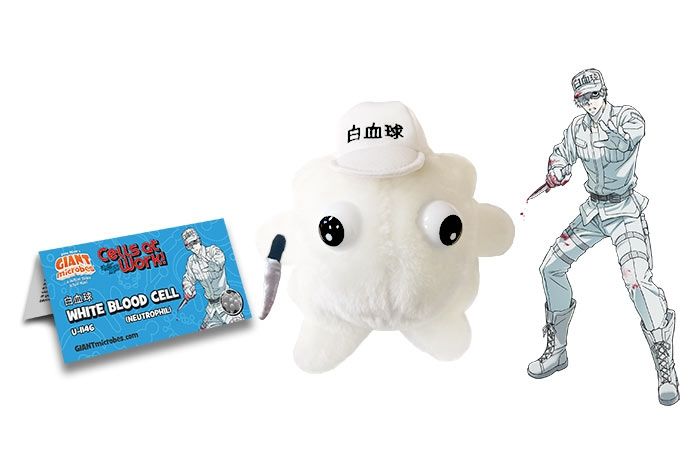 Cells at Work WBC (White Blood Cell) picture