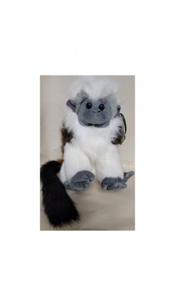 Cotton Top Tamarin (12") picture