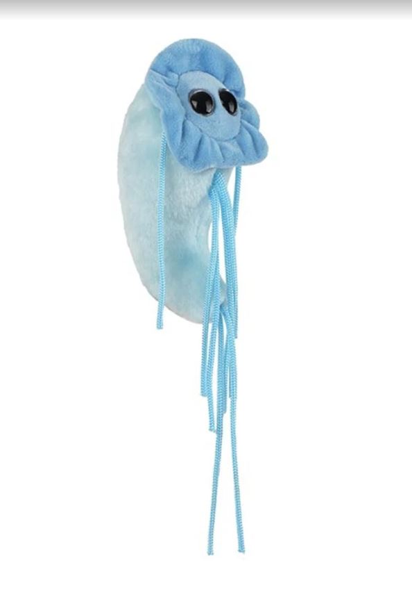 Giardia (Origional) picture