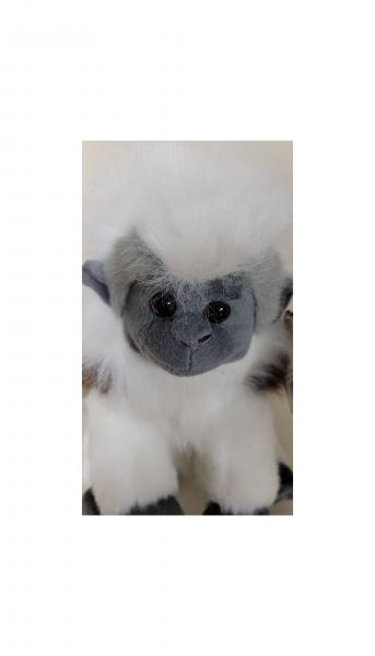 Cotton Top Tamarin (12") picture