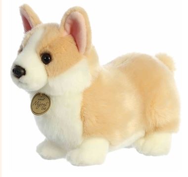 9.5 Pembroke Welsh Corgi Pup picture