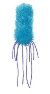 Pseudomonas Aeruginosa picture