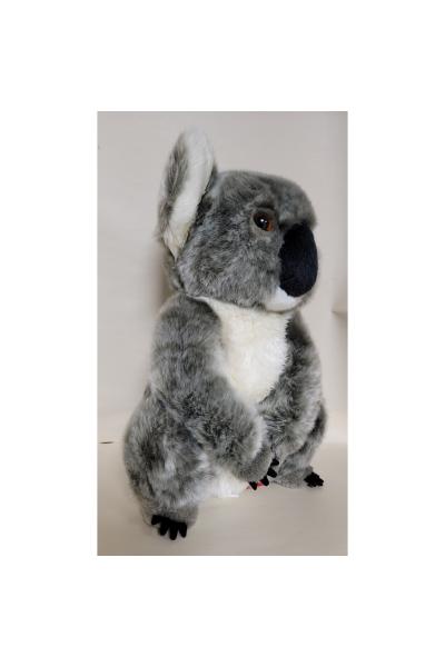 Koala (Aussie) (10.5") picture