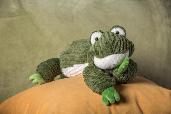 Frog (Cozy Toes) (17") picture