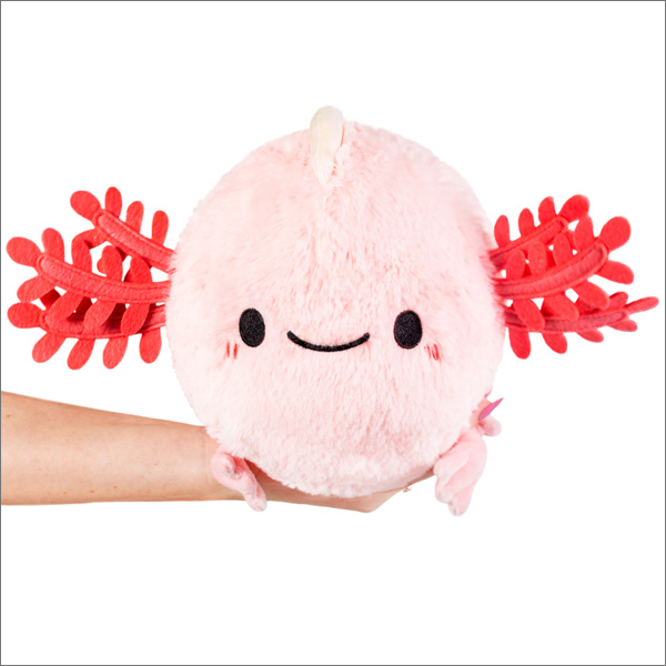 Mini Squishable Baby Axolotl 7 Eventeny