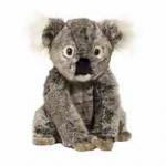 Koala (Kellen) (13")