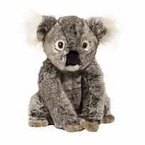 Koala (Kellen) (13") picture