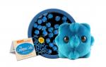 Common Cold (Rhinovirus)