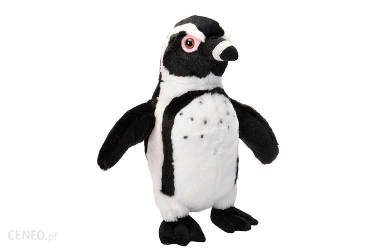 Penguin Black Footed