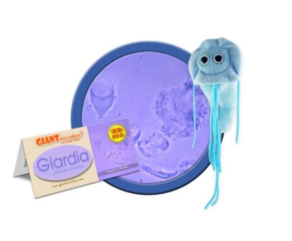 Giardia (Origional)