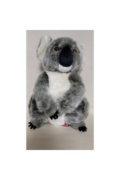 Koala (Aussie) (10.5") picture