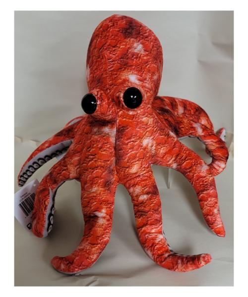 Octopus 13"