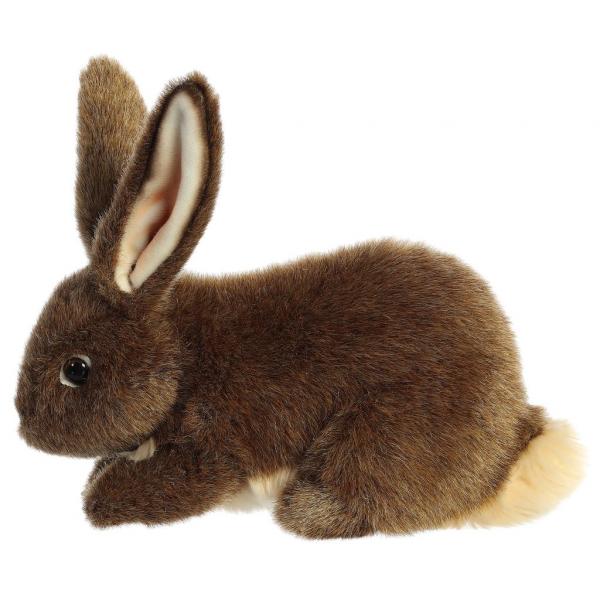 Rabbit, Flemish (10") picture