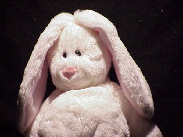 Marshmallow Sugar Bunny (13") picture