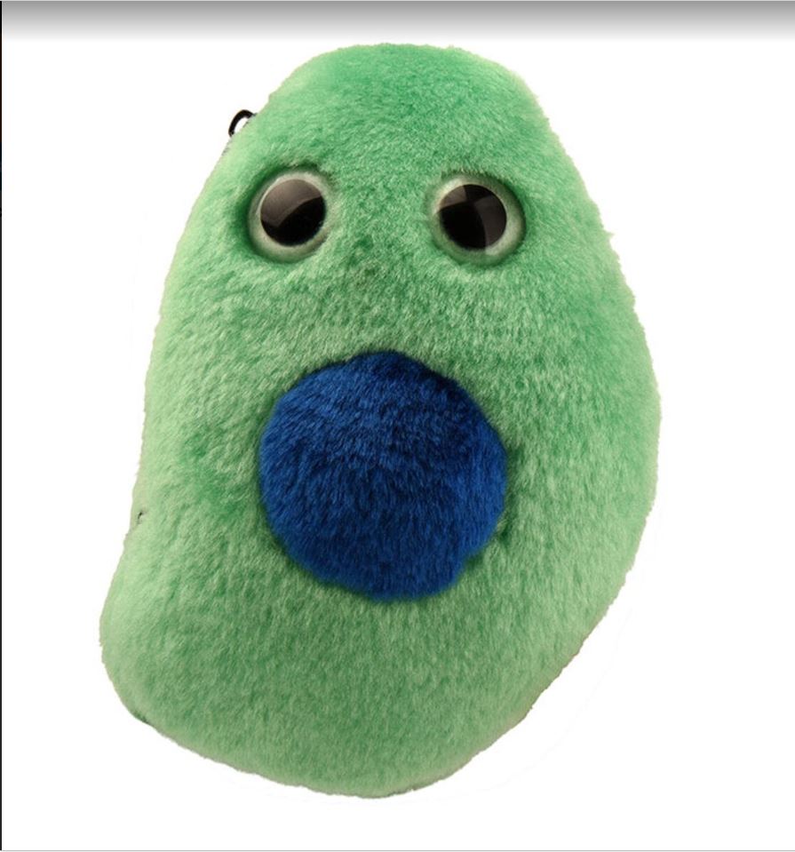 Diabetes (Beta) Cell - Insulin (B Cells) picture