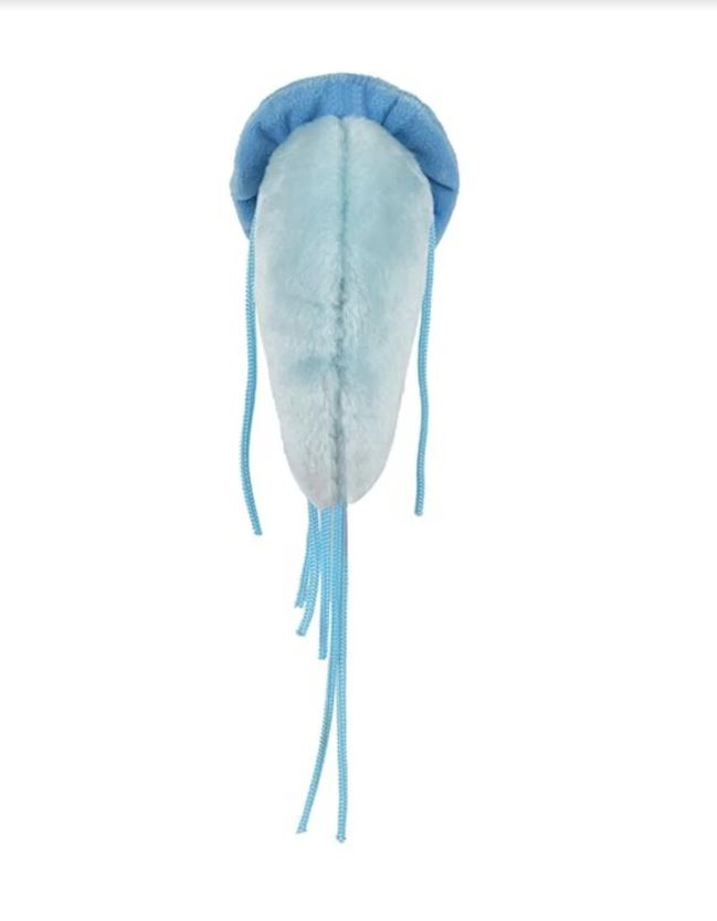 Giardia (Origional) picture