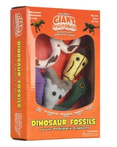 Dinosaur Fossil Gift Box picture