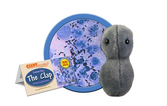 Clap - Gonorrhea (Neisseria Gonorrhoeae) picture