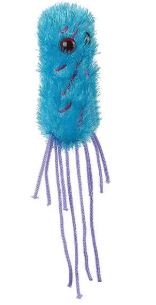 Pseudomonas Aeruginosa picture