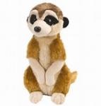 Meerkat (12")