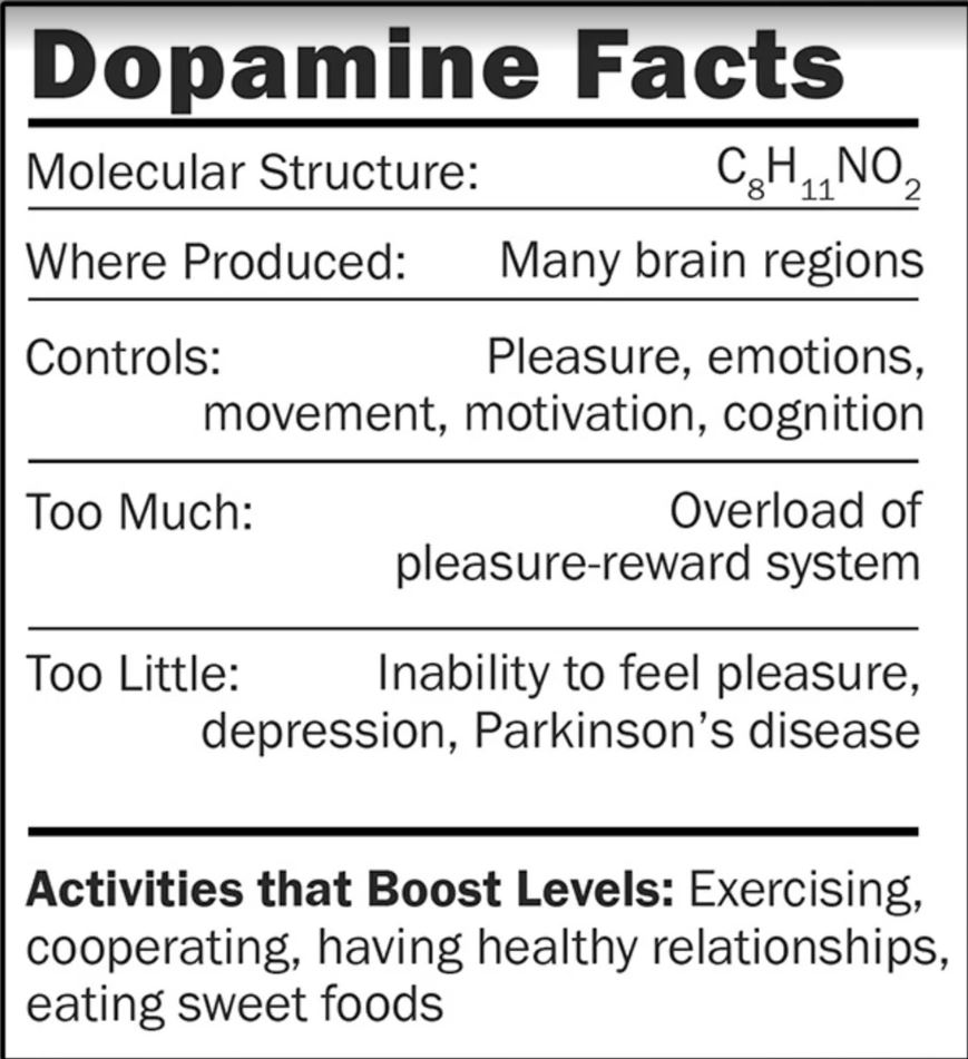 Dopamine picture