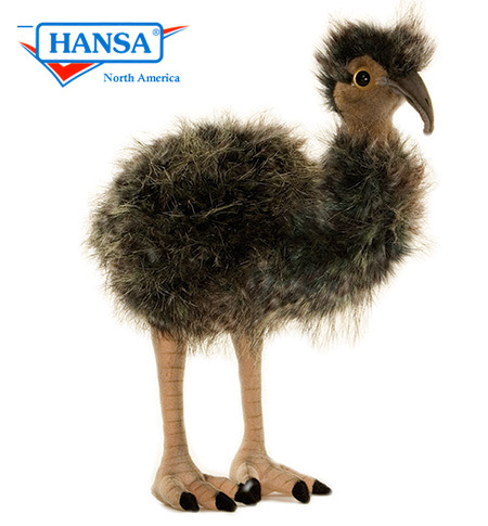 Emu, baby picture