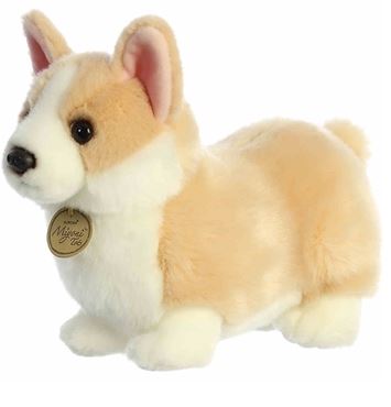 9.5 Pembroke Welsh Corgi Pup picture